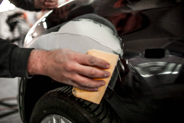 Menominee, MI Mold Removal Company
