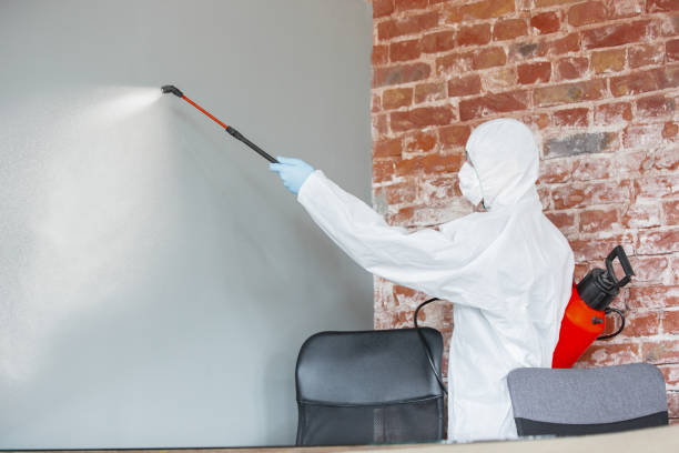 Best Mold Removal for HVAC Installations  in Menonee, MI