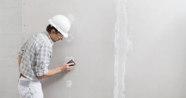 Best Airborne Mold Testing  in Menonee, MI