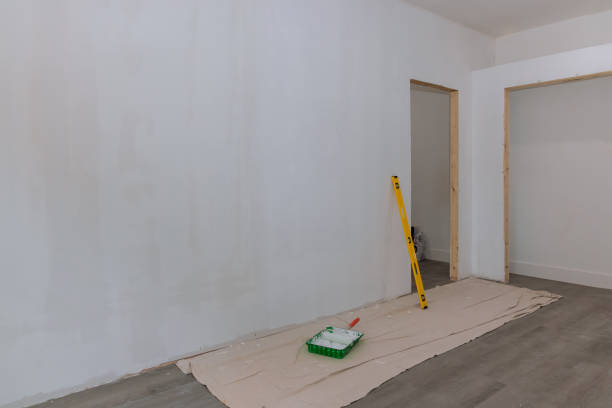 Best Asbestos and Lead Testing During Mold Inspection  in Menonee, MI