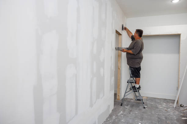 Best Real Estate Mold Inspection  in Menonee, MI