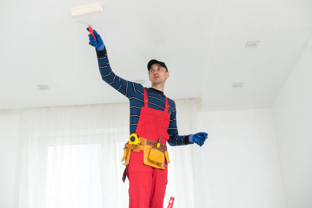 Biohazard Mold Removal in Menominee, MI
