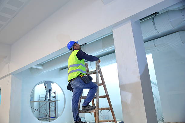 Best Post-Construction Mold Inspection  in Menonee, MI