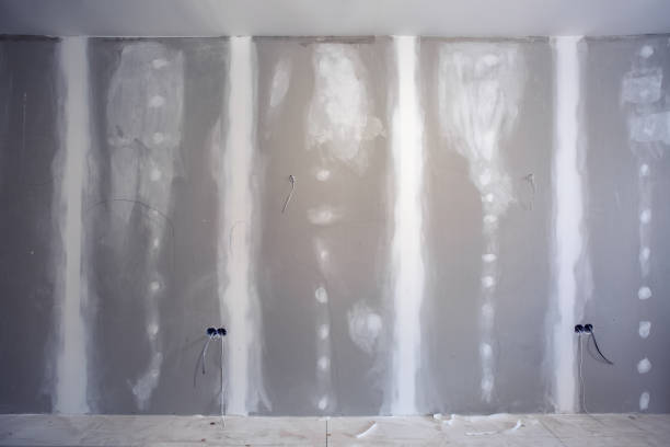 Best Airborne Mold Testing  in Menonee, MI